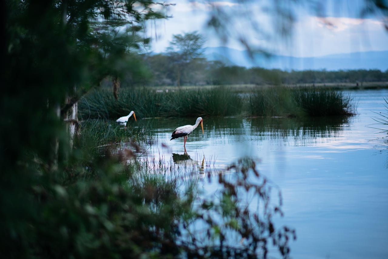 Sirville Lake Elementaita Lodge Gilgil Exterior photo