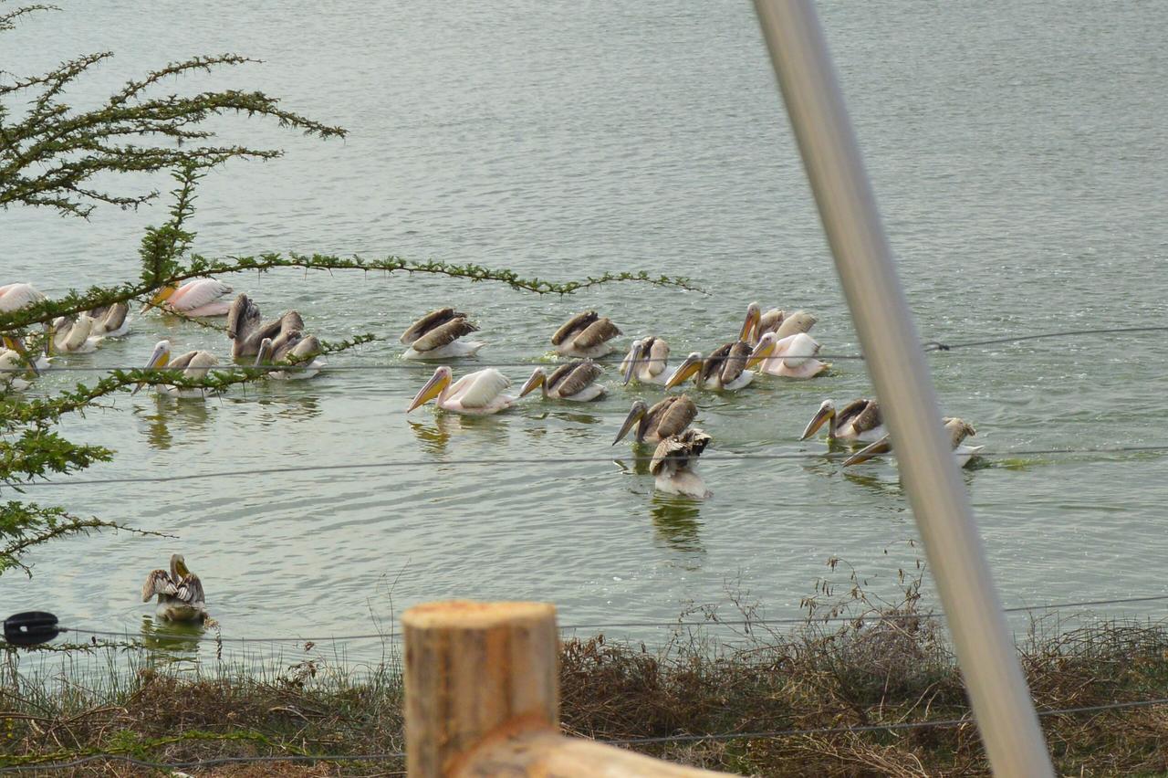 Sirville Lake Elementaita Lodge Gilgil Exterior photo